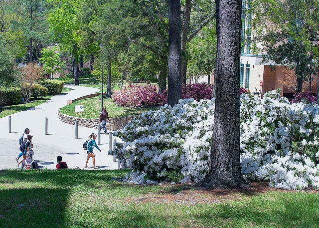 Picture of students walking the calm paths of campus.